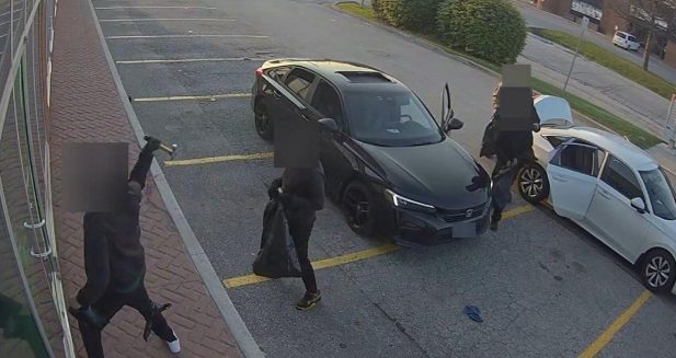 4 người bị bắt, hơn 200 cáo buộc trong cuộc điều tra trộm có tổ chức ở GTA